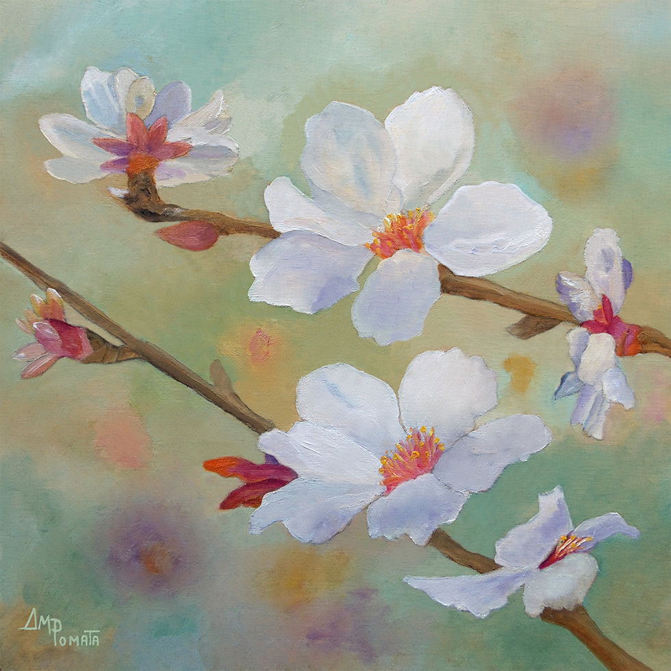Almond Blossoms Iii Plakat