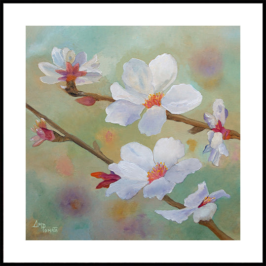 Almond Blossoms Iii Plakat