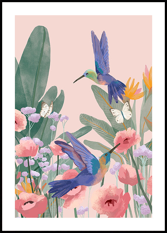 Hummingbirds Plakat
