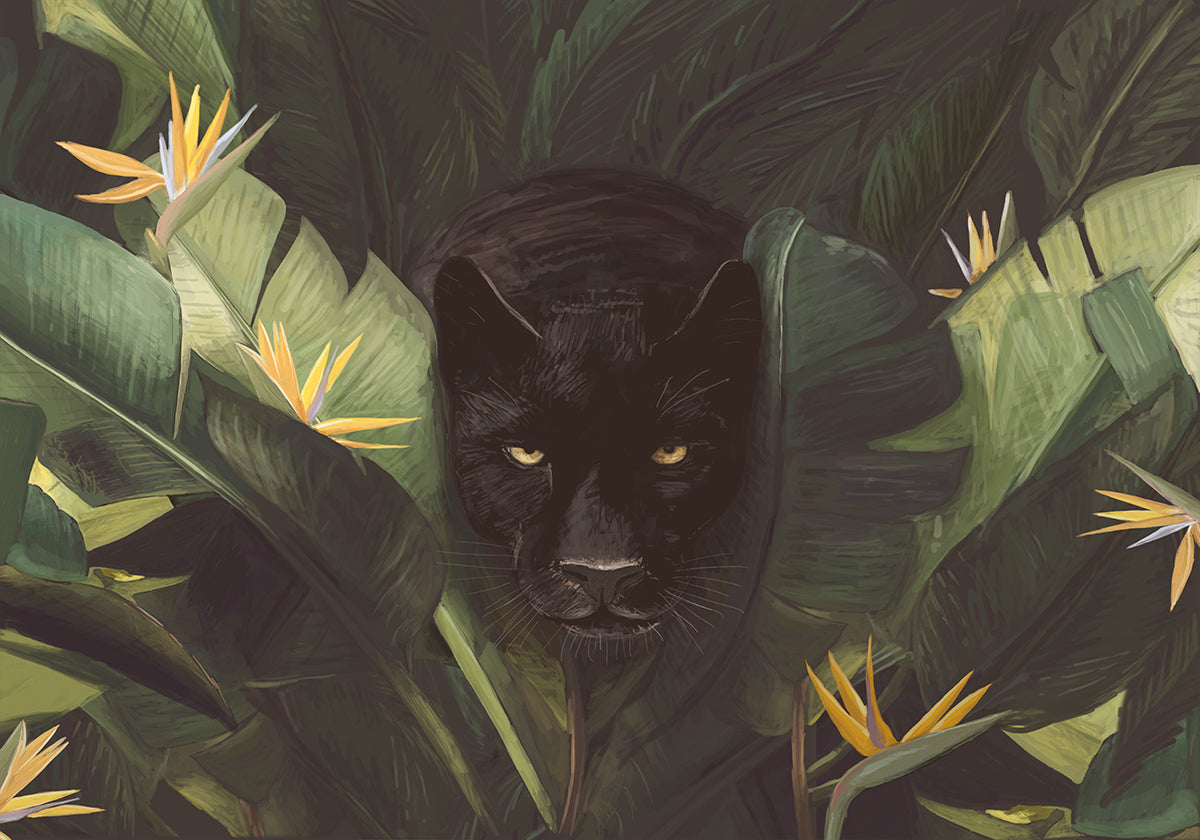 Black Panther Jungle Gaze Plakat