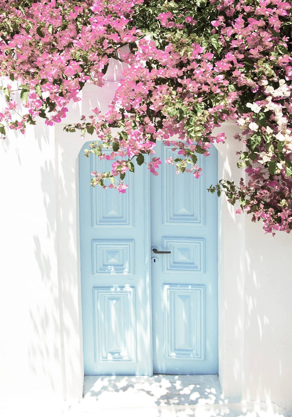 Pink Flower Door Plakat - Posterbox.no