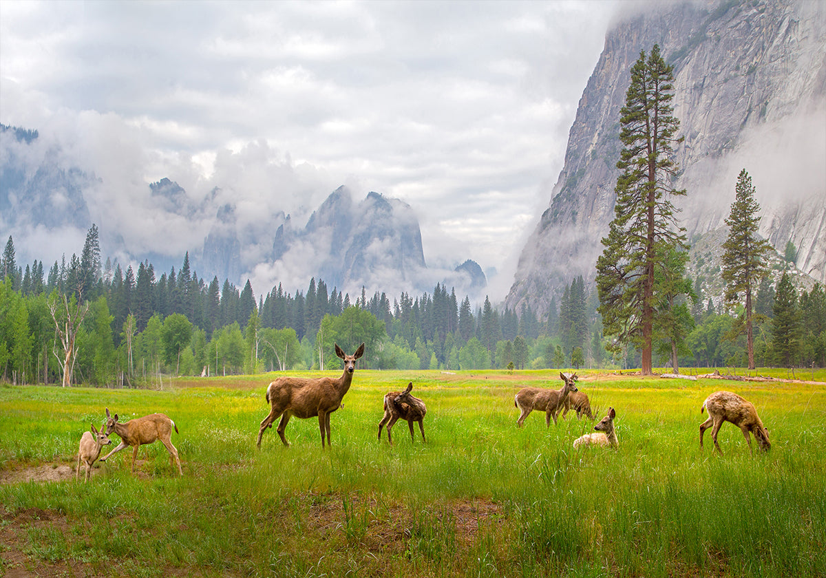 A Feeling of Ancient Time Plakat