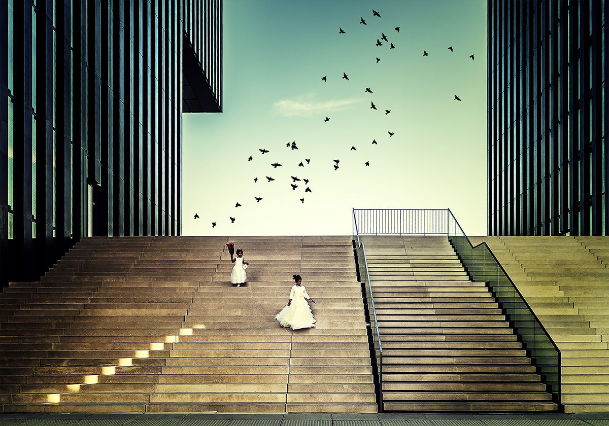 Free like a bird... Plakat