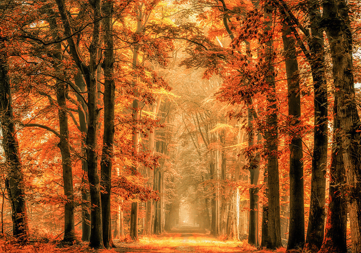 Exit the Portal Plakat