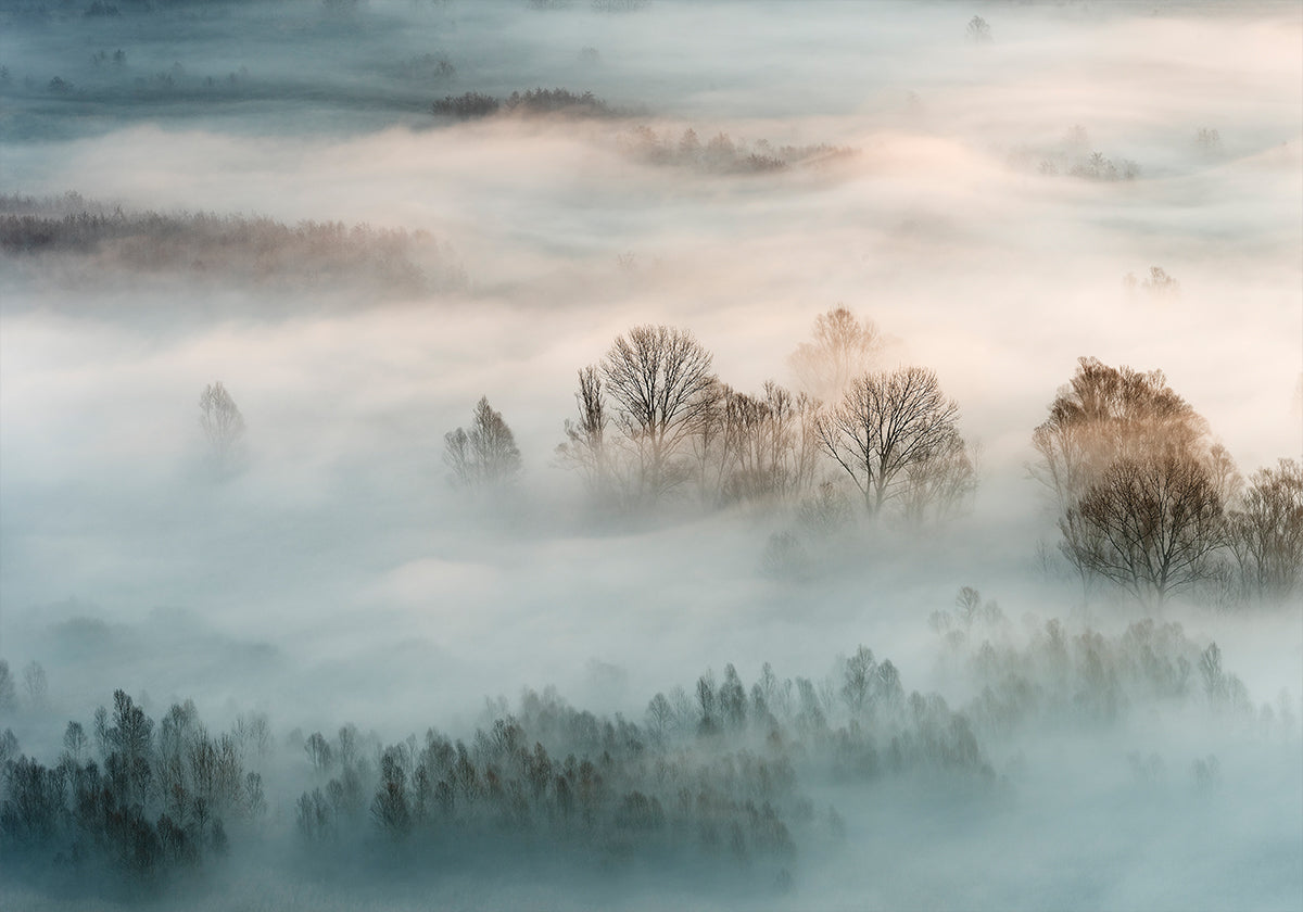 Winter fog Plakat