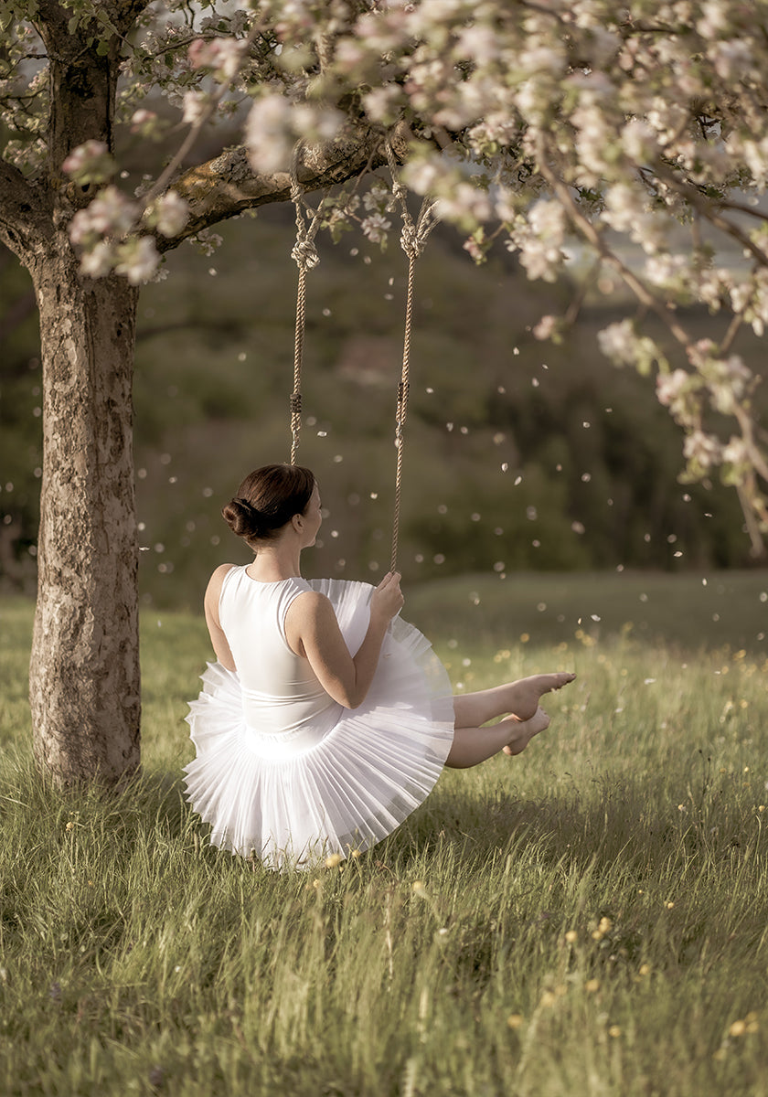 cherry tree swing Plakat
