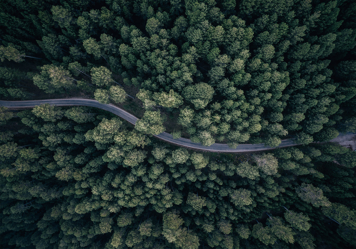 From above Plakat