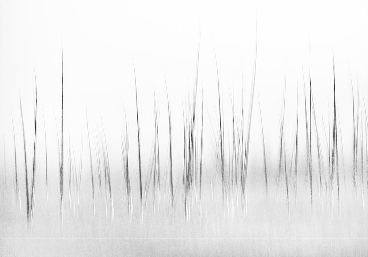 Wintry scenery in Yellowstone Plakat