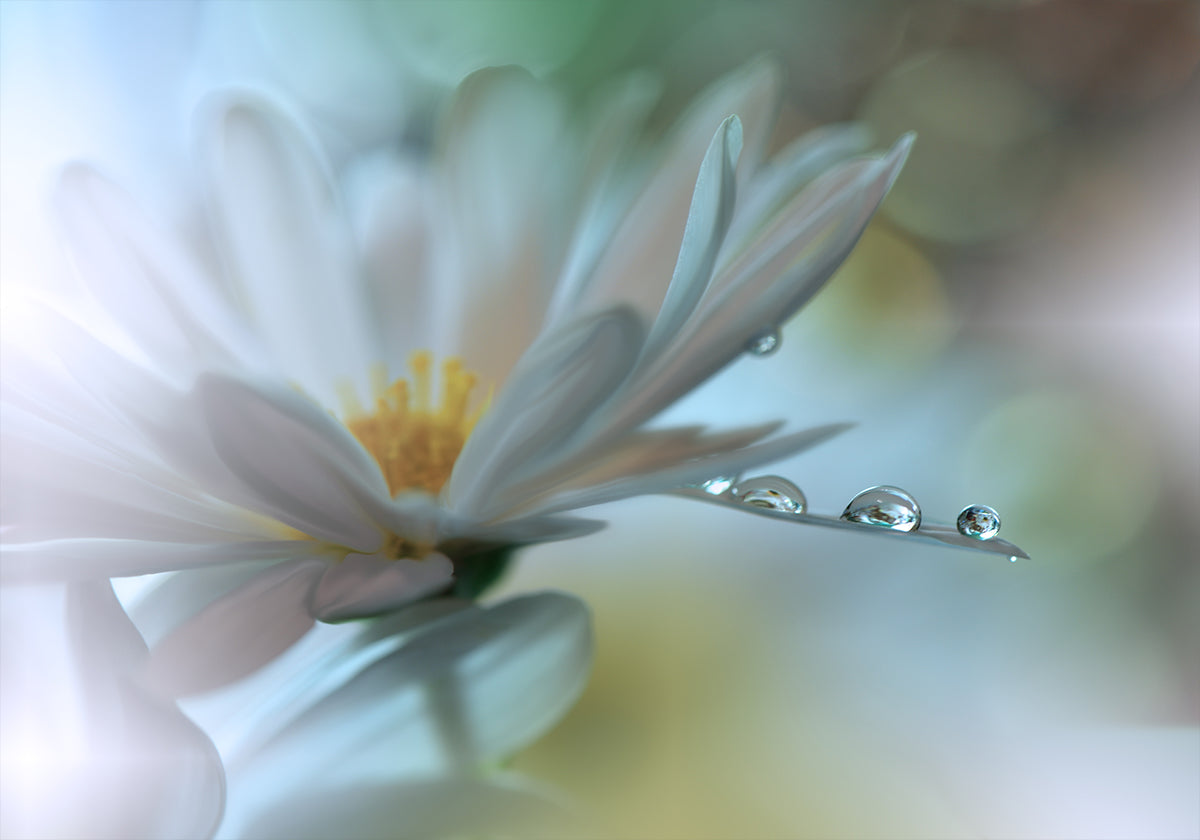 Light touch...