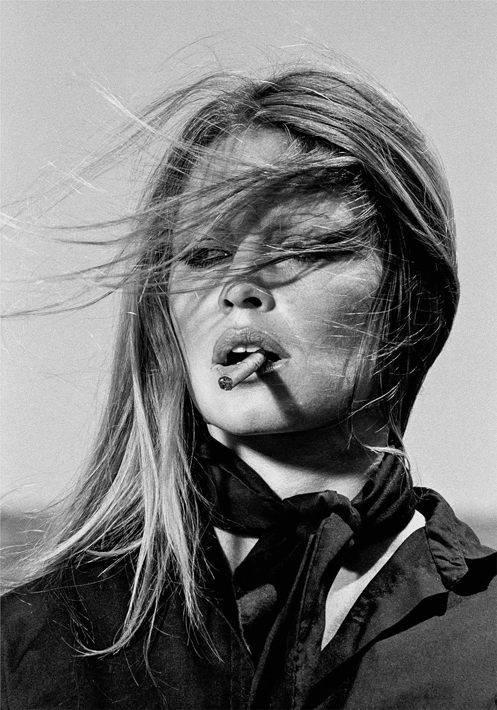 Brigitte Bardot Portrait Plakat