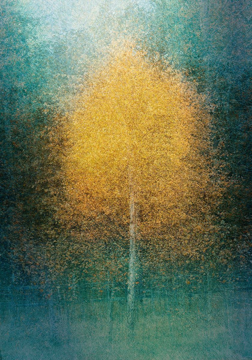 Young at heart Plakat