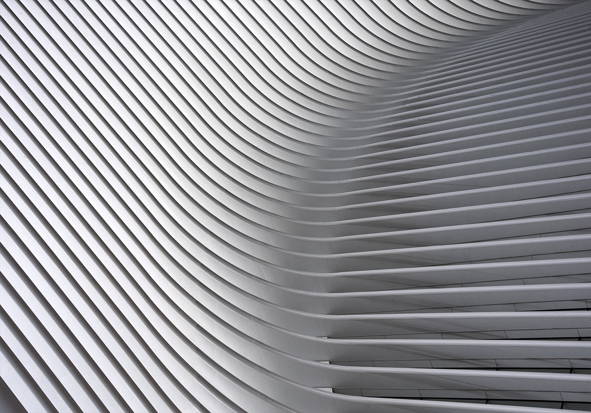 Calatrava Curves # 2 Plakat
