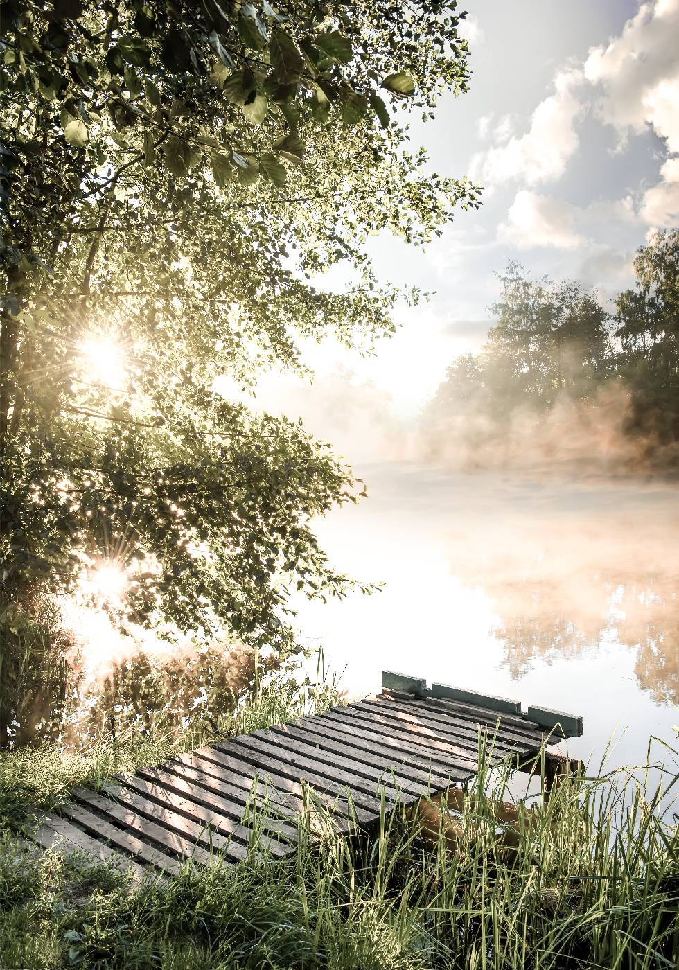 Foggy Summer Lake Plakat - Posterbox.no