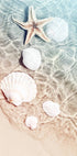 Starfish & Seashell Plakat - Posterbox.no
