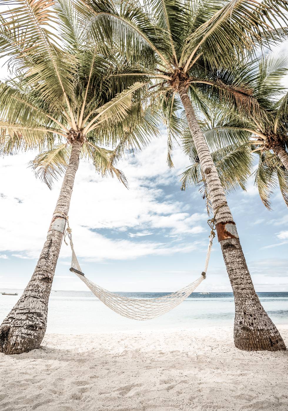 Hammock at the Beach Plakat - Posterbox.no