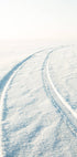 Desert Snow Tracks Plakat - Posterbox.no