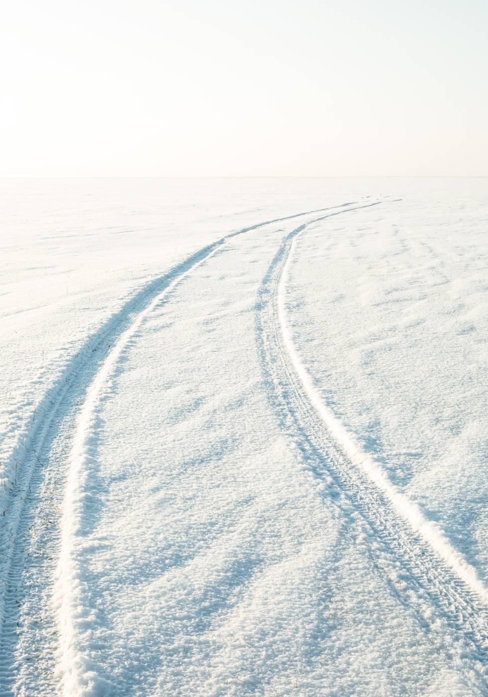 Desert Snow Tracks Plakat - Posterbox.no