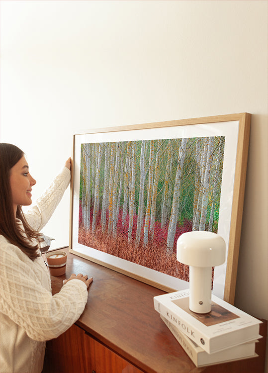 Birch forest Plakat