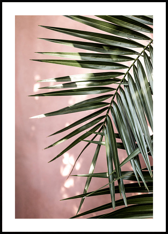 Palm Leaves 23 Plakat