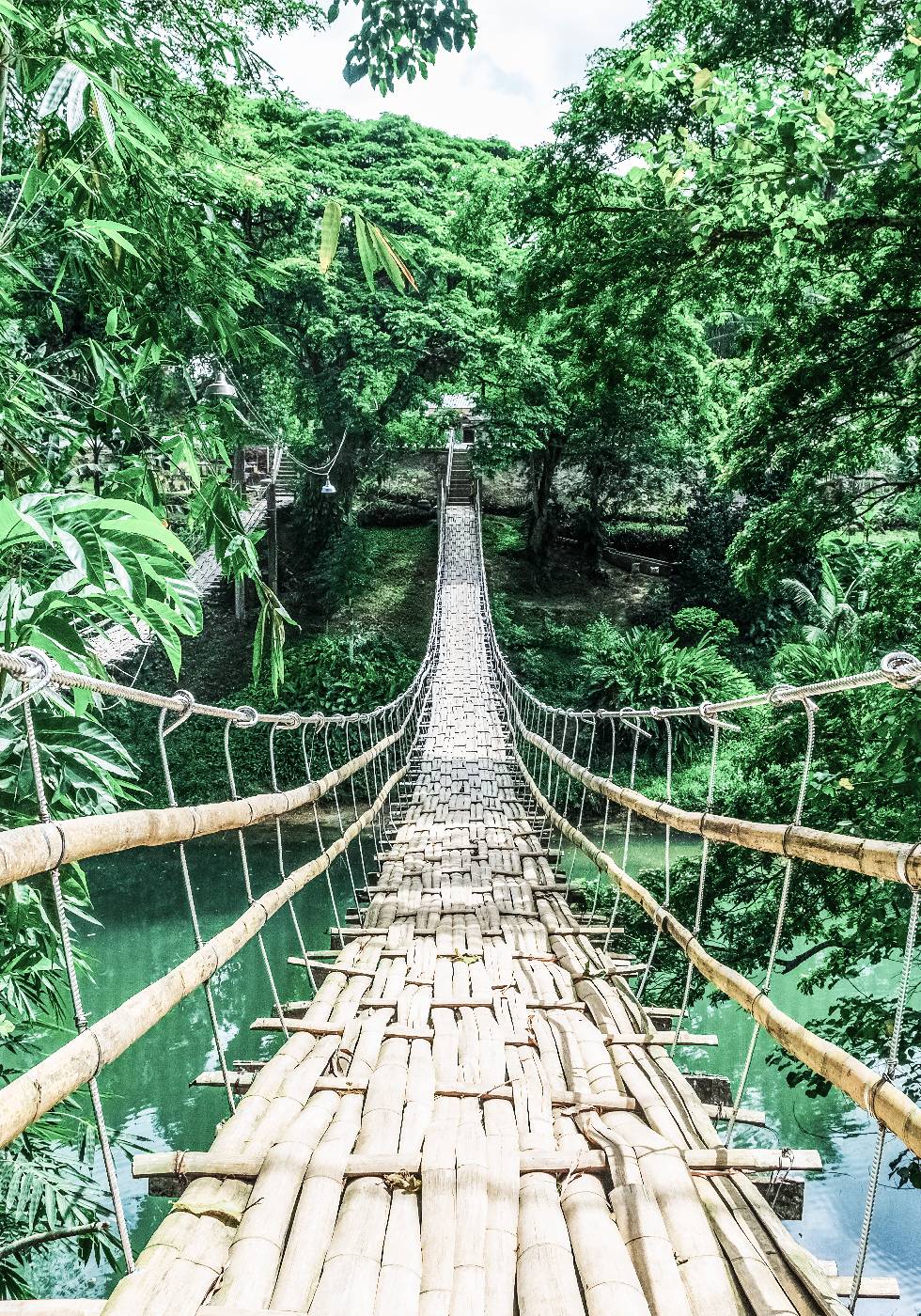 Bamboo Hanging Bridge Plakat - Posterbox.no