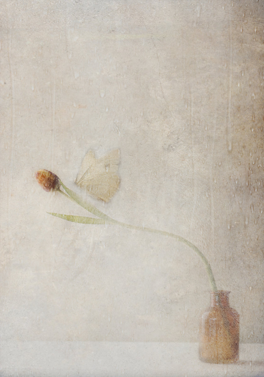 Ephemeral Meeting Plakat