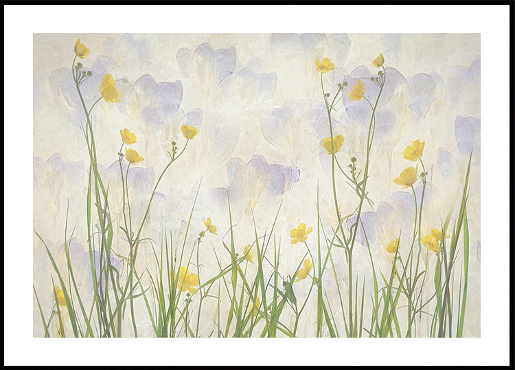 Crocuses bloom Plakat
