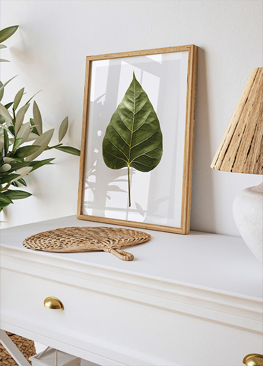 Leaf's Intricate Veins Plakat