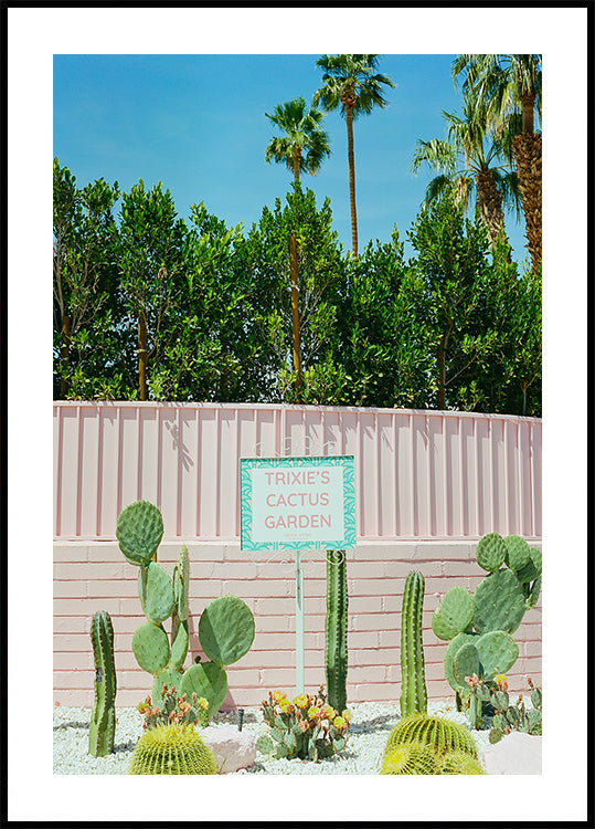 Pink Palm Springs IV Plakat