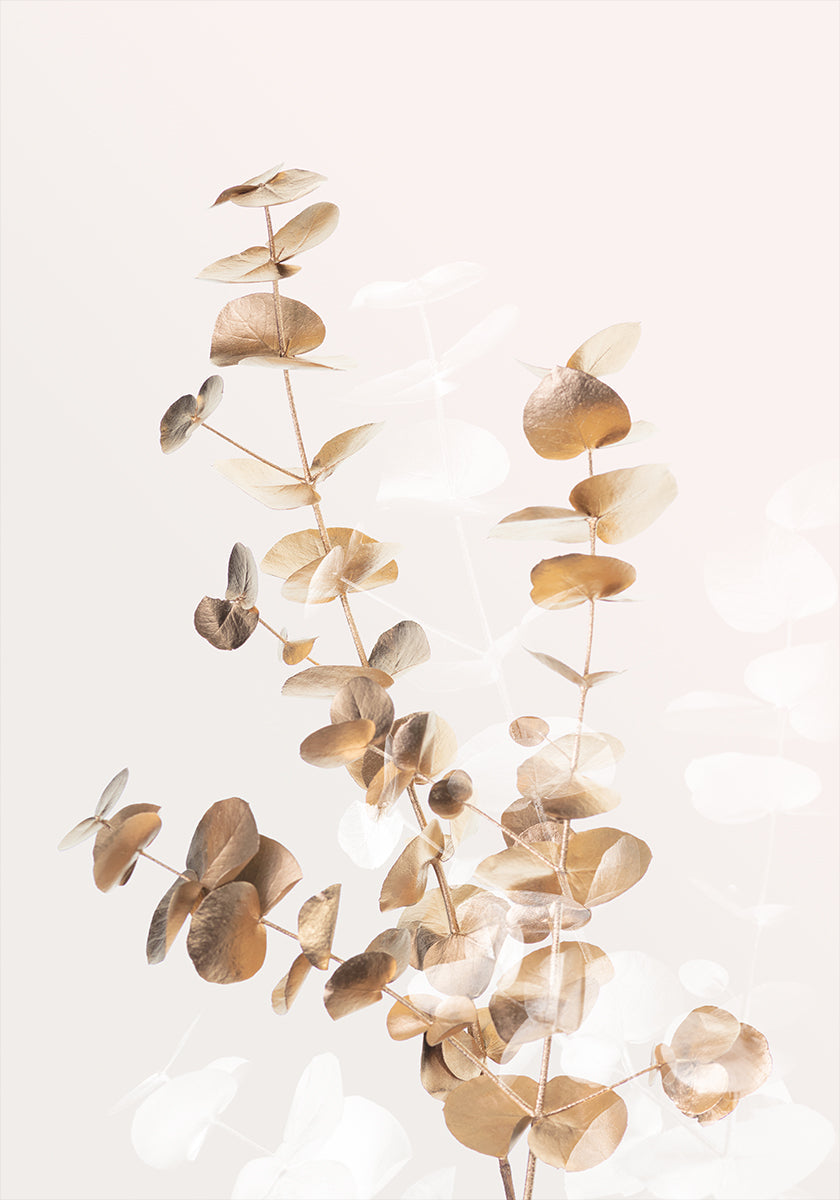 Eucalyptus Creative Gold 03 Plakat