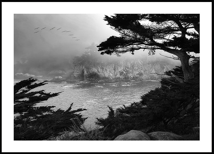 Foggy Morning Central Coast Plakat