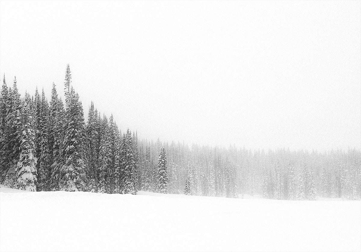 Forest for the Trees Plakat