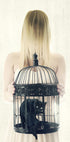 The Bad Black Cat Plakat - Posterbox.no