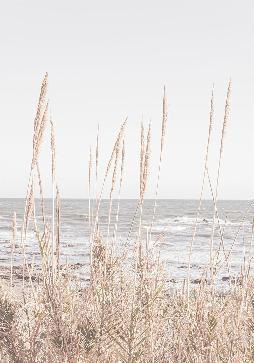 Beach_Vass No.1 Plakat