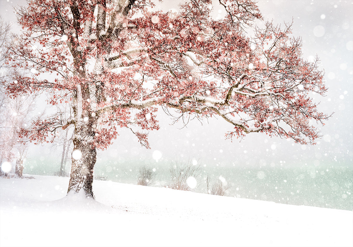 Snow at the lake Plakat