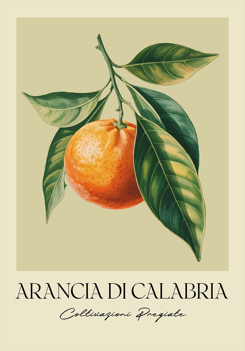 Arancia Di Calabria Plakat