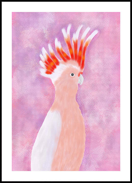 Pink Cocatoo Bird Plakat