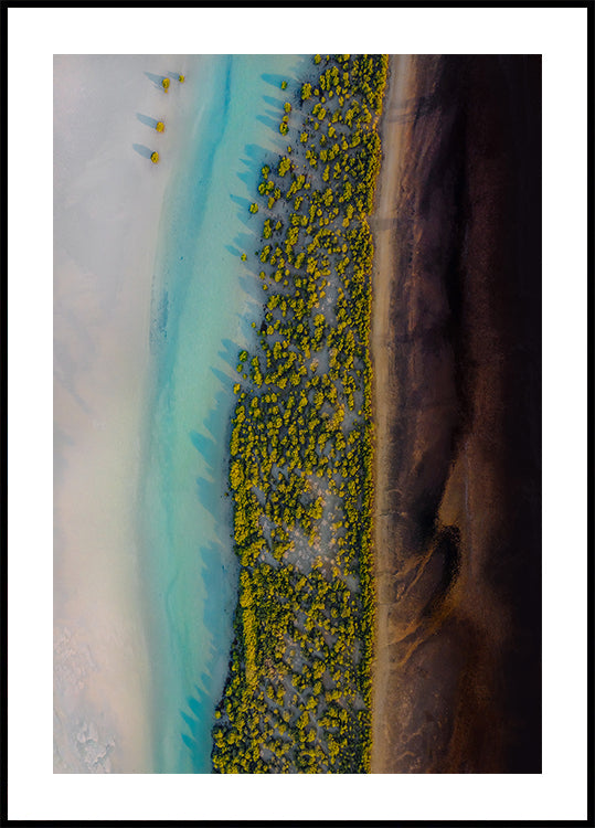 Mangrove Symphony Plakat