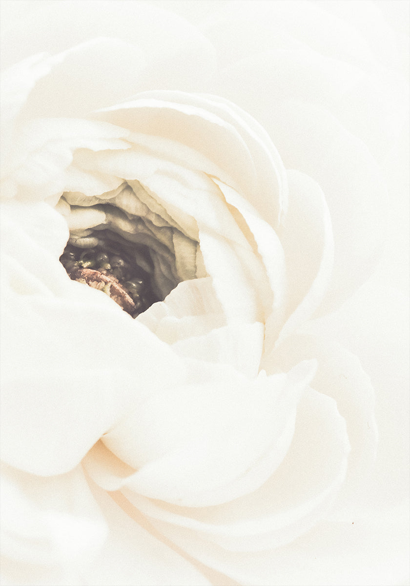White Flower No.1 Plakat