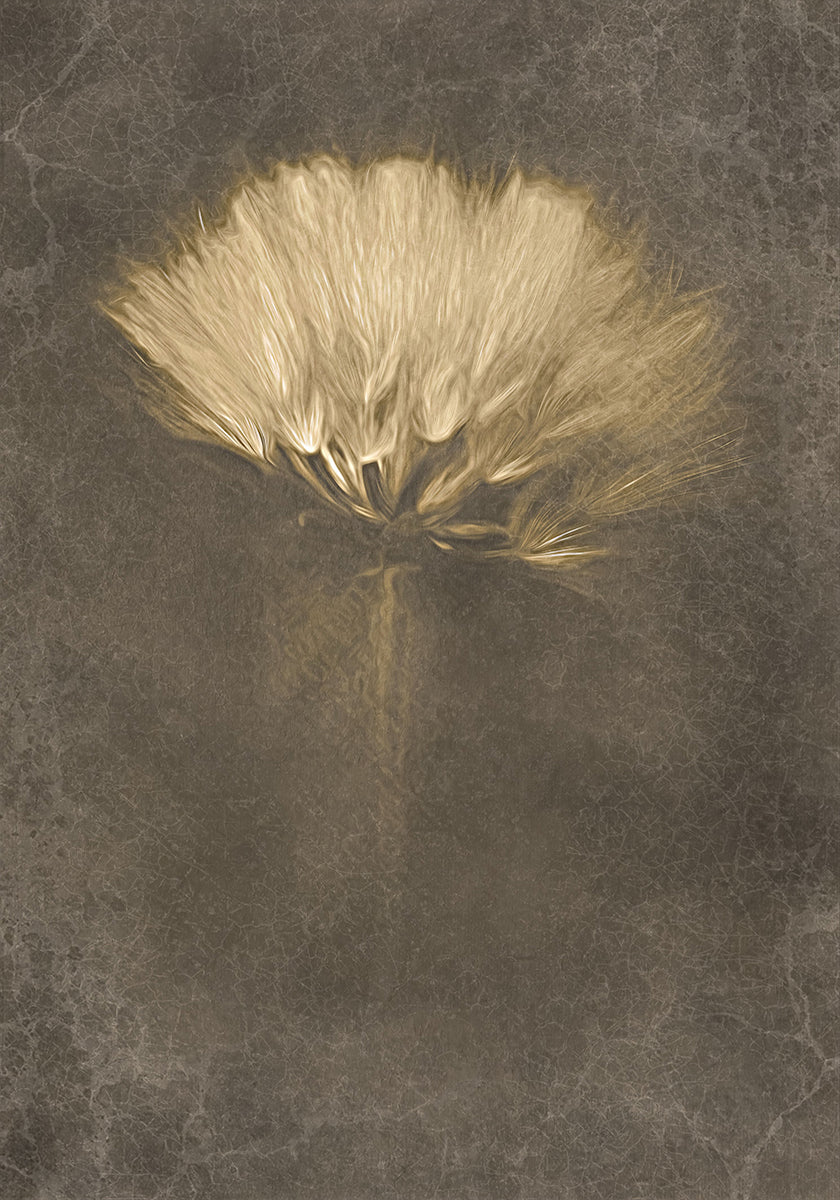 Mysterious Days Plakat