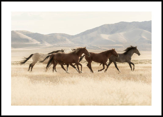 Wild Horses Running Plakat