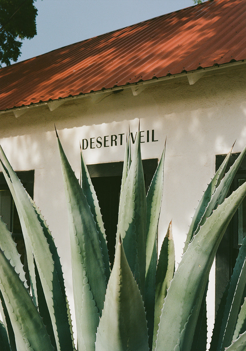 Desert Veil Plakat