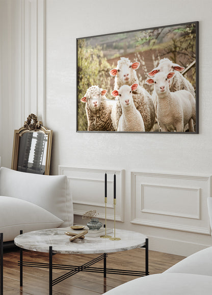 Flock of Sheep Plakat