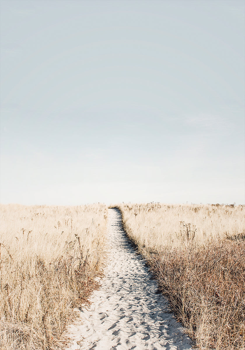 To The Beach Poster