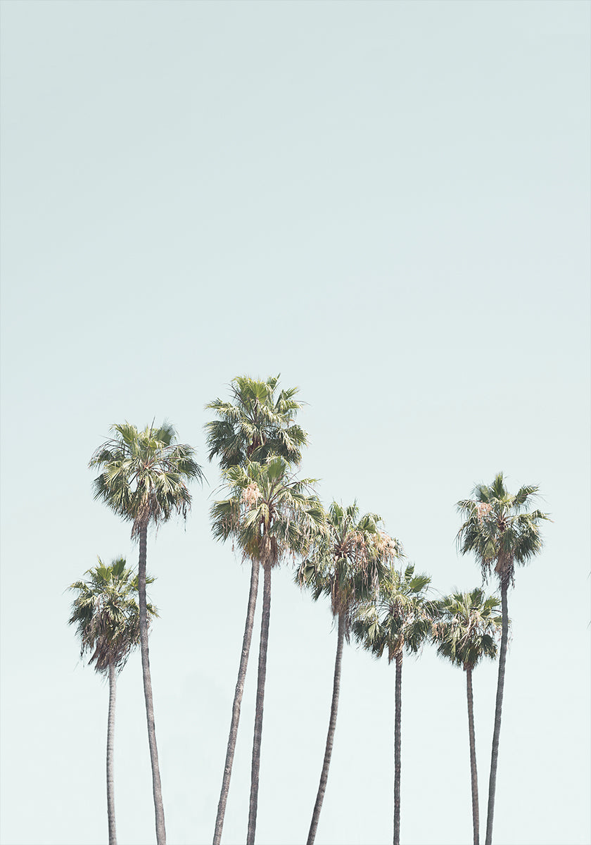 Blue Palm Trees Plakat
