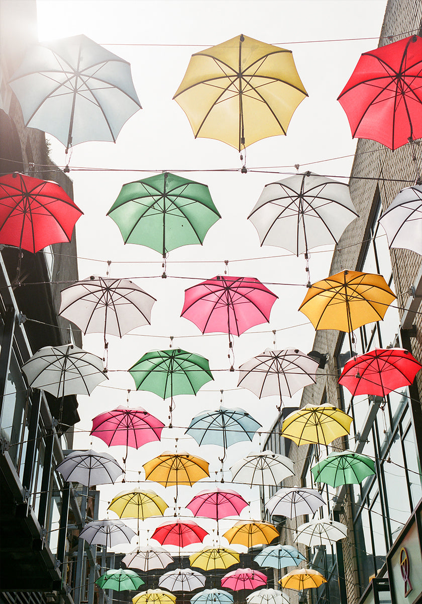 Umbrellas Plakat