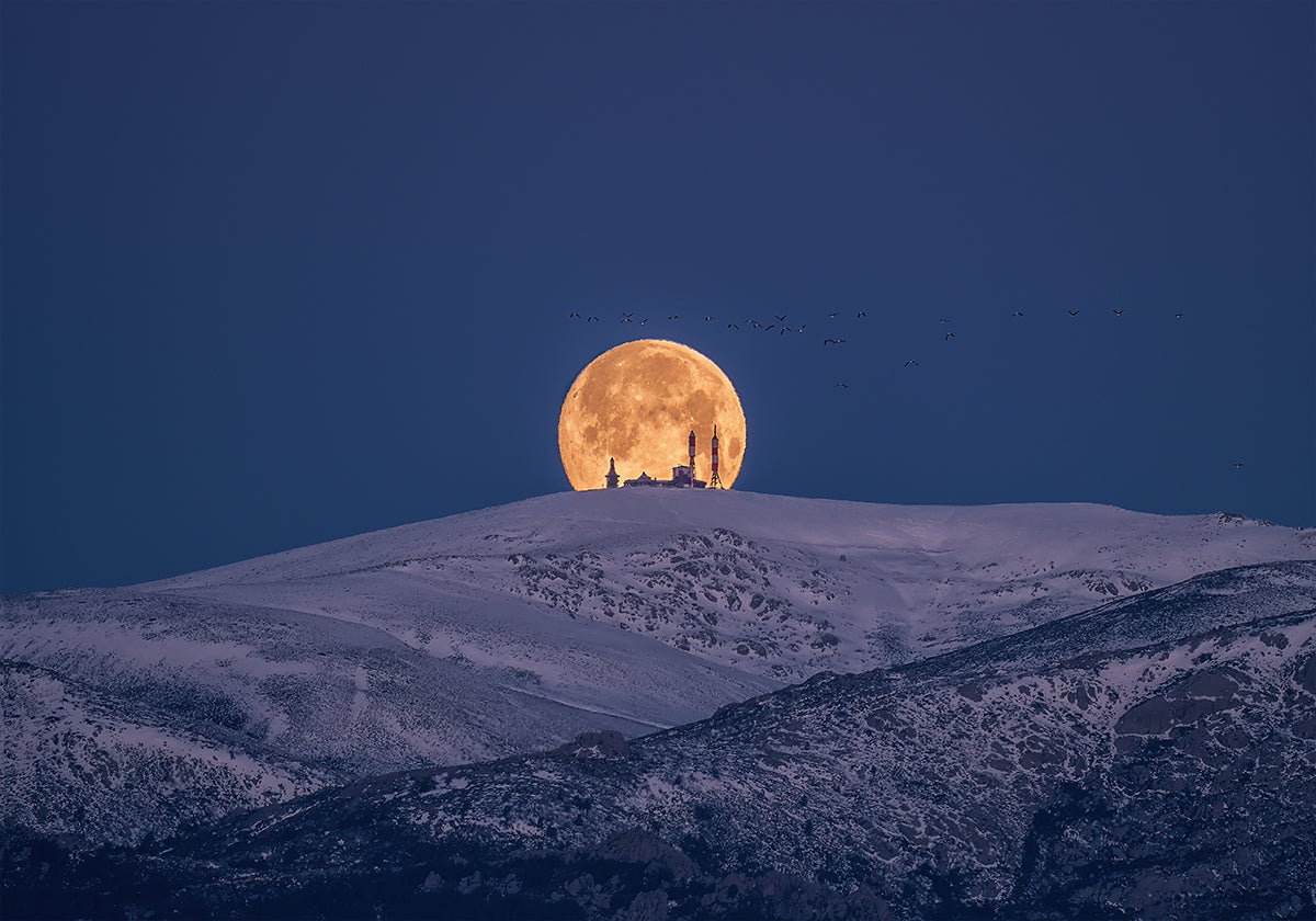SNoW &amp; MooN Plakat