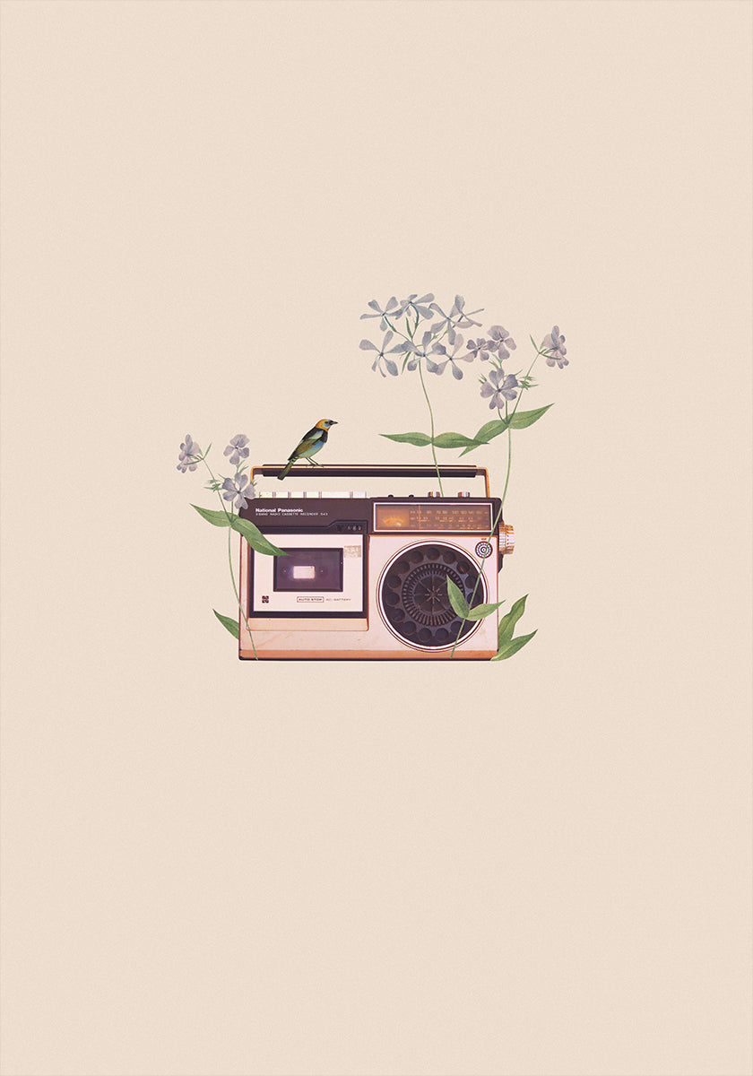Floral vintage radio Plakat