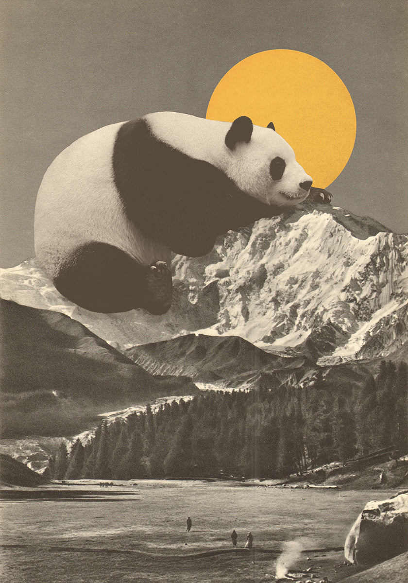 Giant Panda Nap Plakat