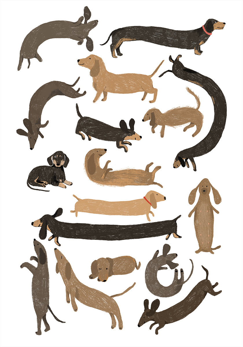 Dachshund Print Plakat