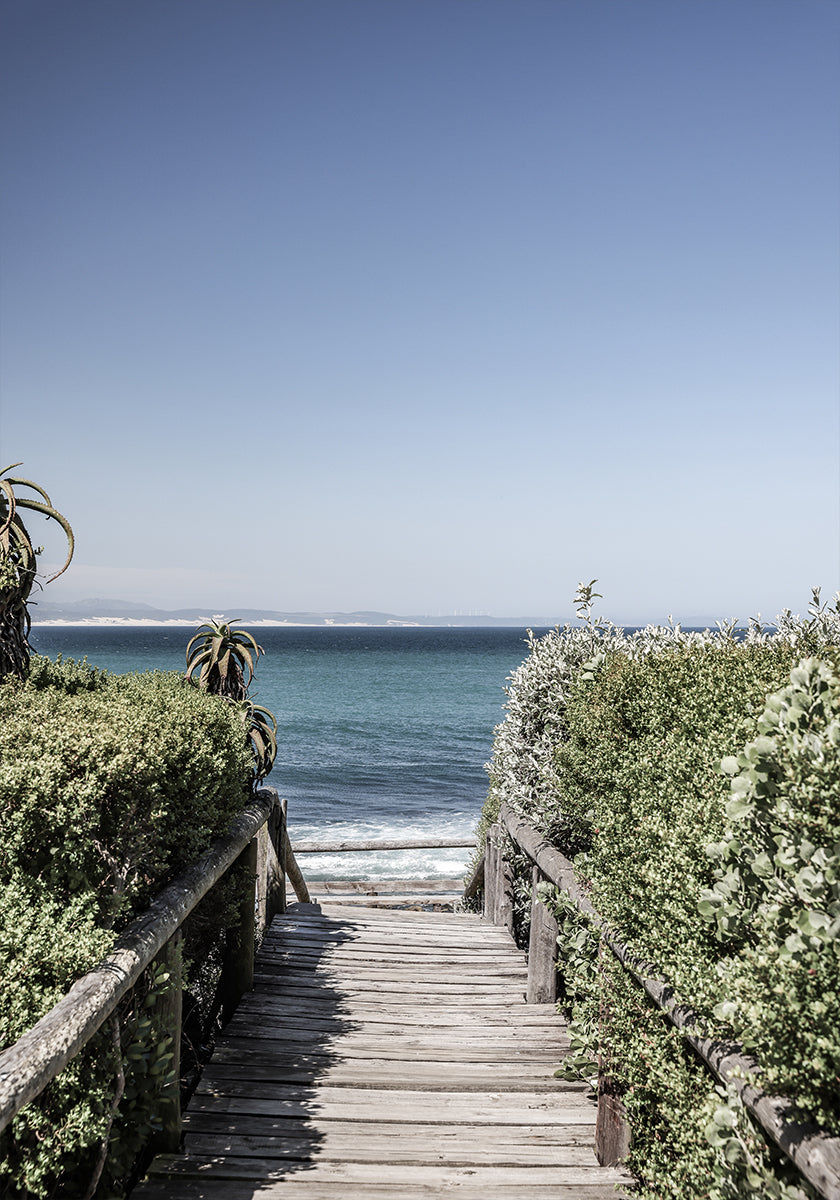 Seaside Tranquility
